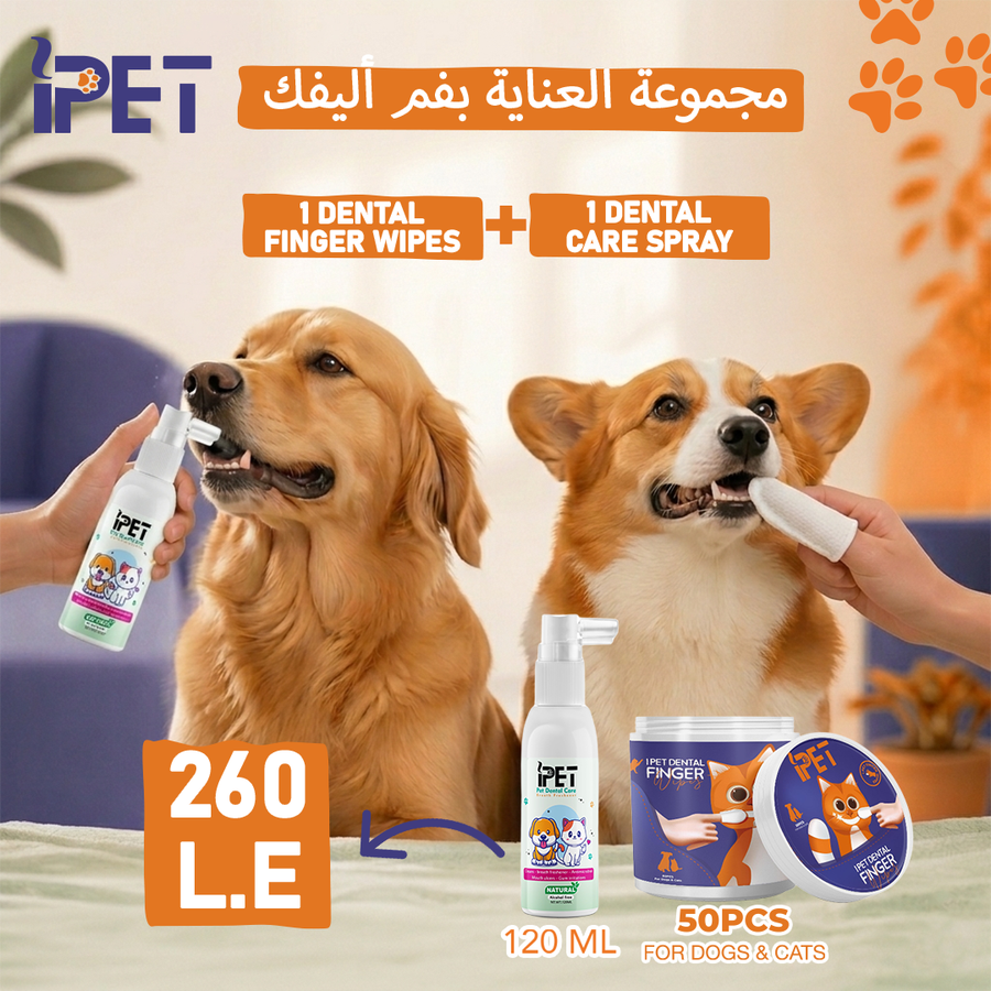 iPET Dental Duo | مجموعة العناية بفم أليفك