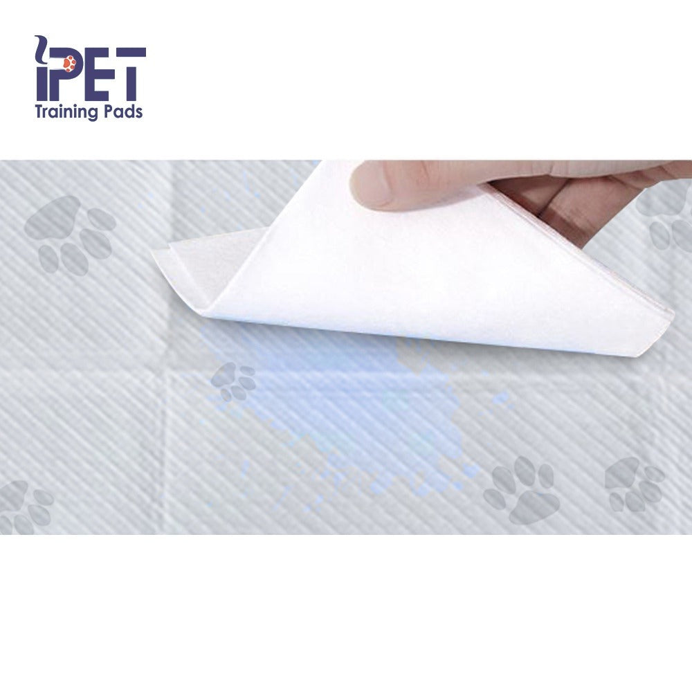 iPET Training Pads with Adhesive Strips | مفارش التدريب