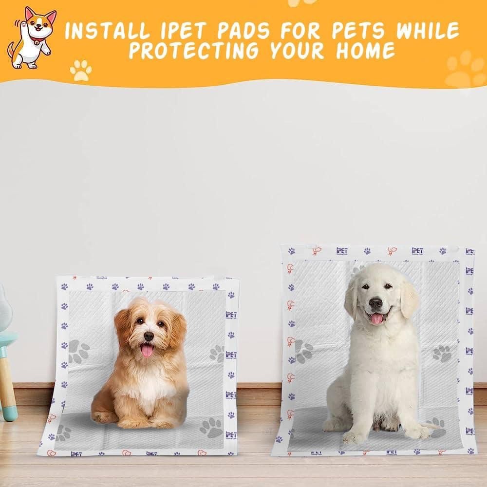 iPET Training Pads Bundle – 3 Packs × 10 Pieces | مفارش تدريب بشرائط لاصقة