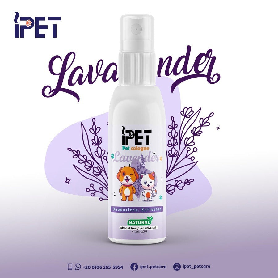 Fresh Bath Kit | مجموعة الشاور السريع