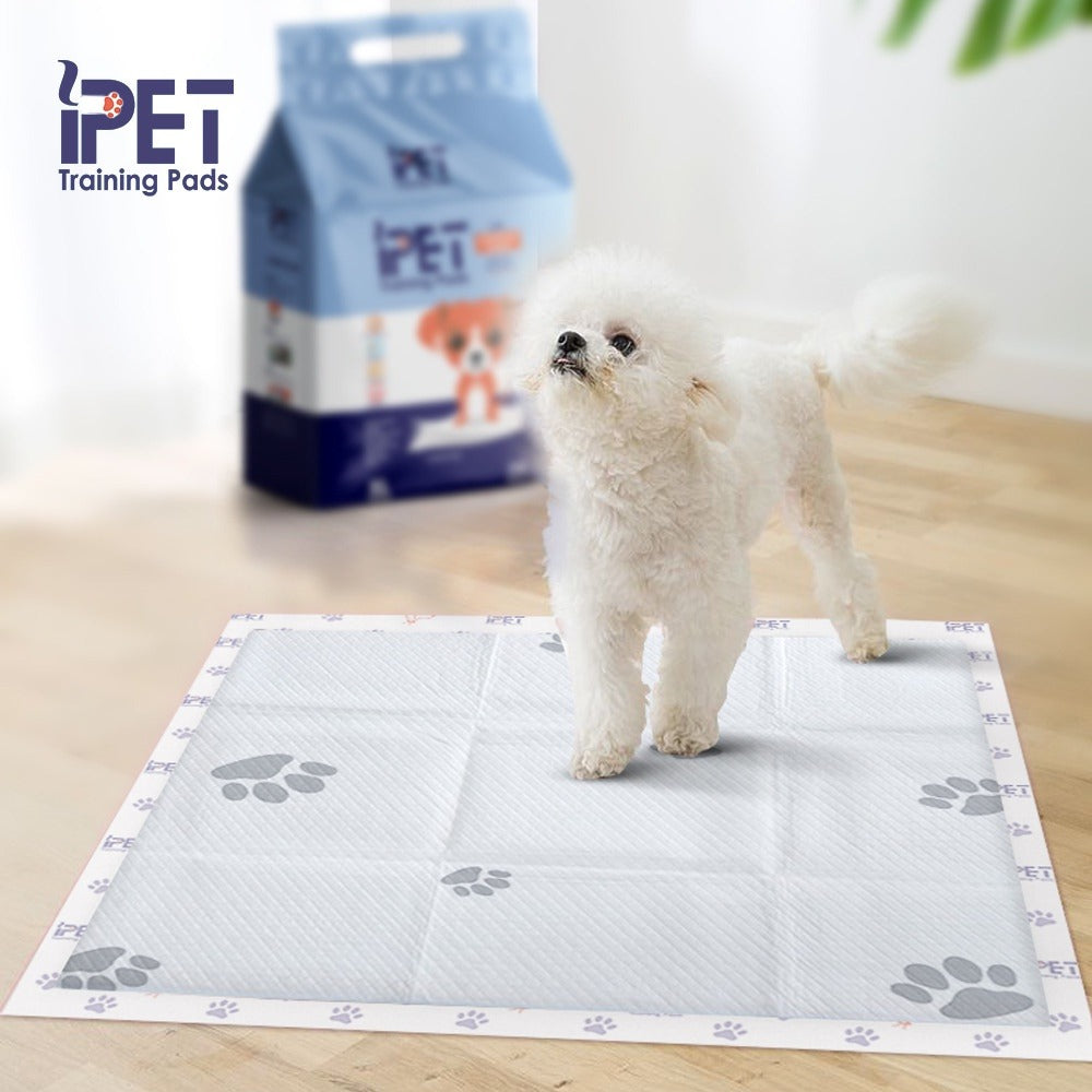 iPET Training Pads Bundle – 3 Packs × 10 Pieces | مفارش تدريب بشرائط لاصقة